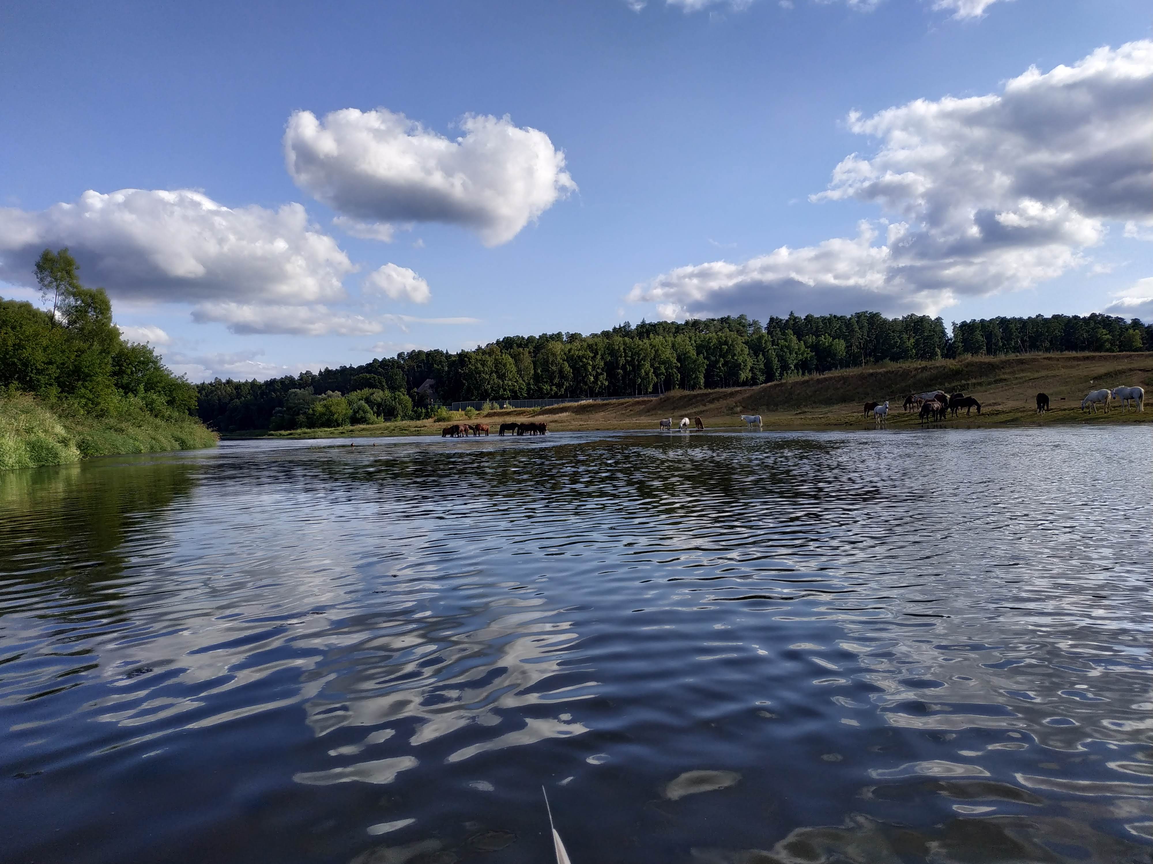 ВОДНЫЙ МАРАФОН
