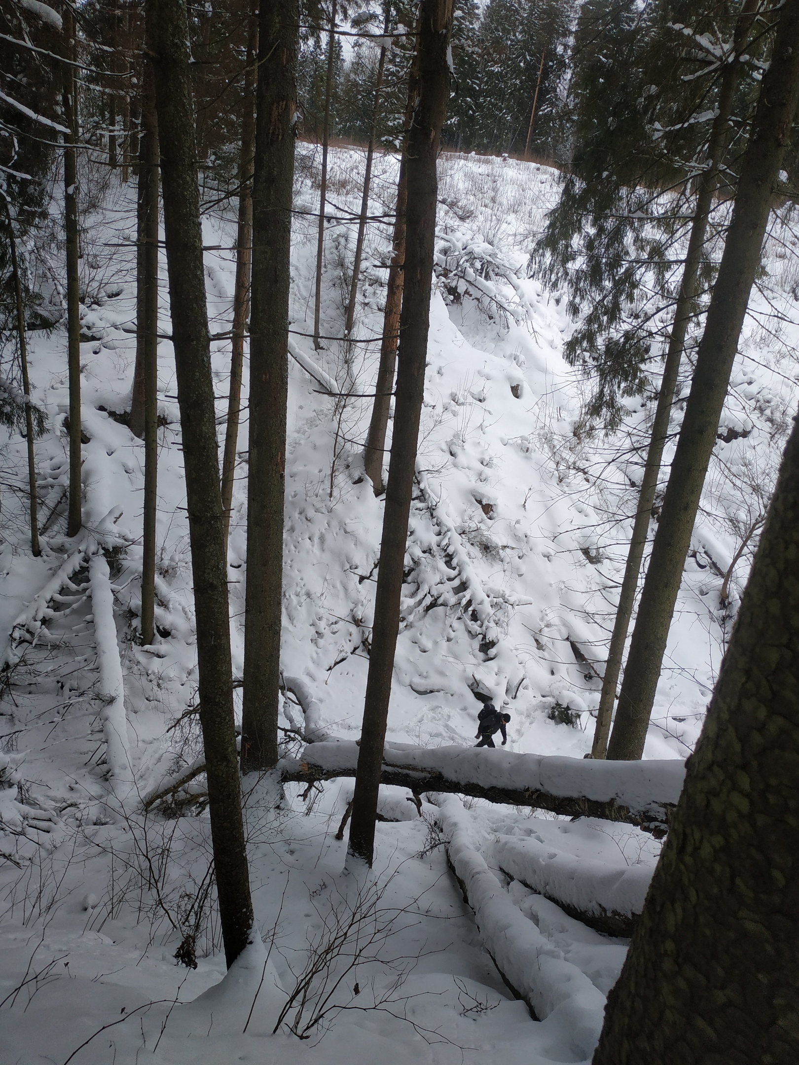 ТРОПА ЗОМБИ