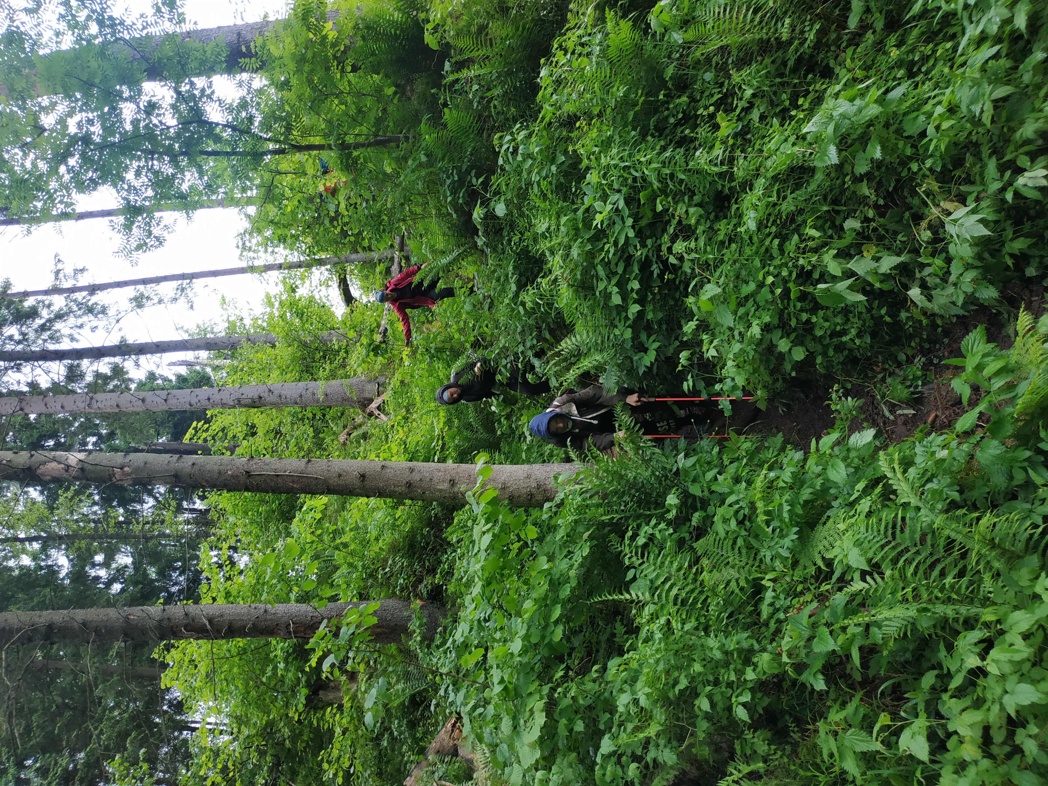 ТРОПА ЗОМБИ