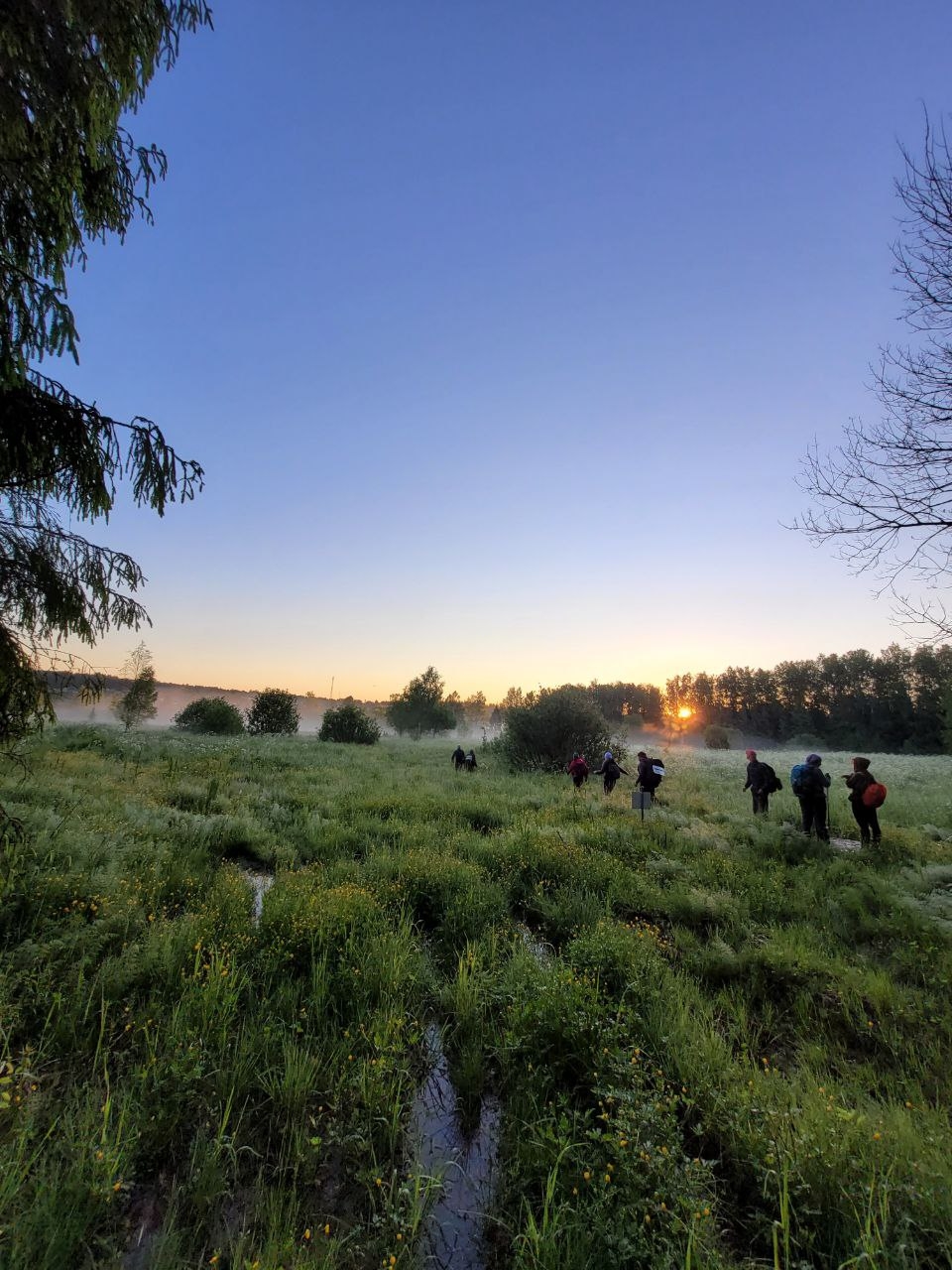 ТРОПА ЗОМБИ
