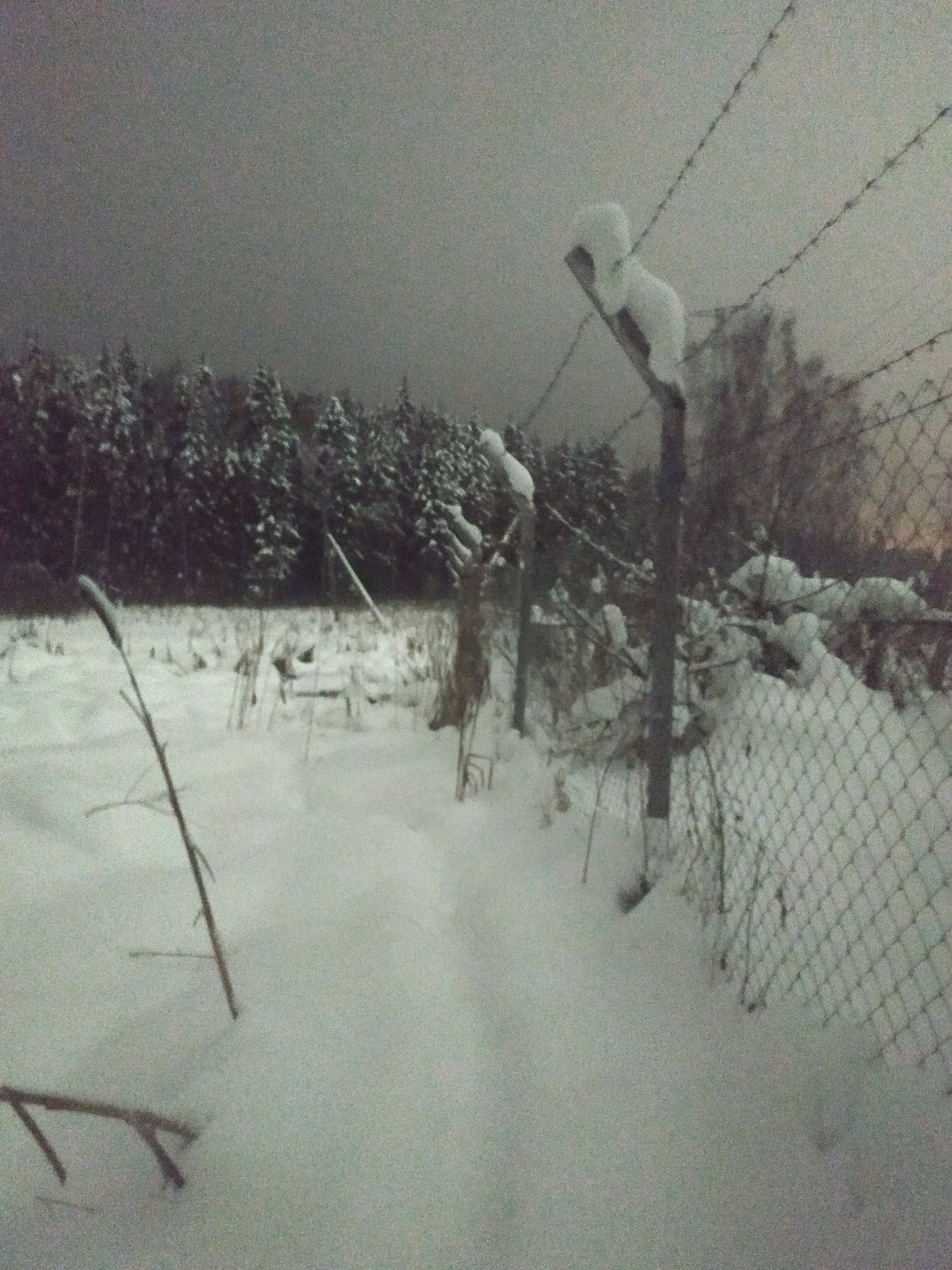 ТРОПА ЗОМБИ